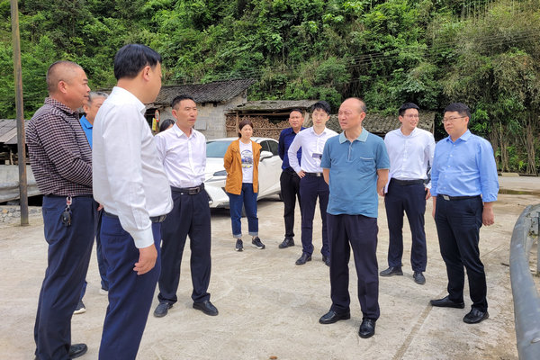 1626679871138928.jpg 1.jpg