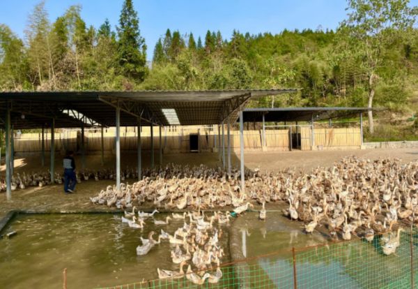 1673922691686572.jpg 2.jpg